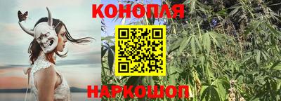 прущие крисы Коммунар