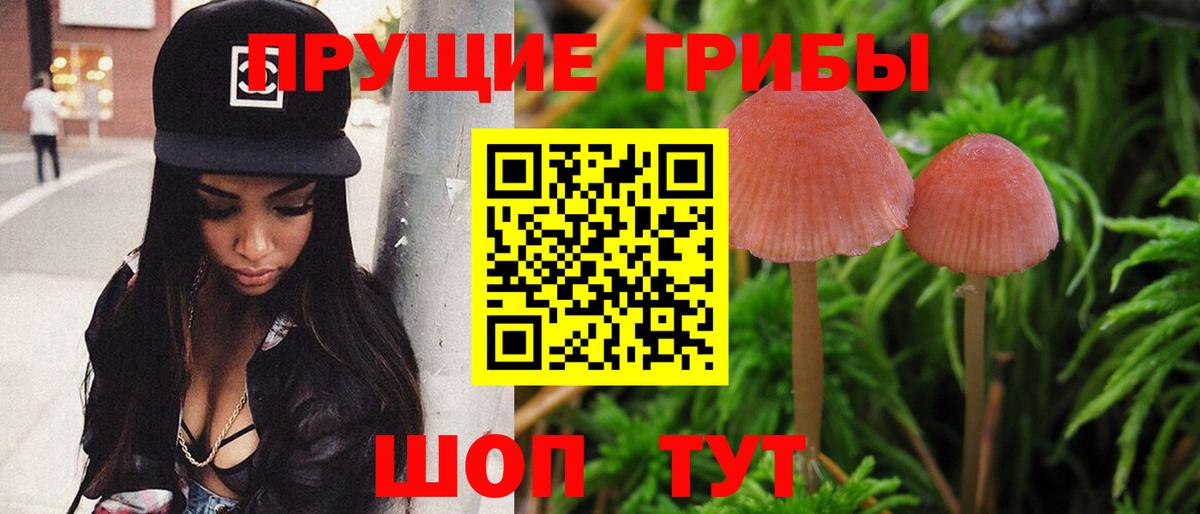 Галлюциногенные грибы мицелий  Вход с VPN  Кинель  где можно купить   Галлюциногенные грибы Cubensis 